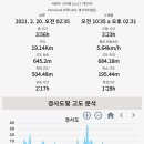 다미향 이미지