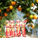 광시농장 이미지