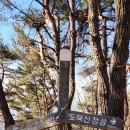 01-23 동구 Daum카페