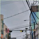 호천식당 이미지