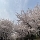 한산3교 이미지