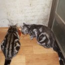 비결농장 이미지