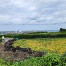 토지민박 이미지