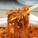 본동물회