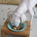 예쁘고멍 이미지