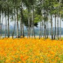 아침풍경 이미지