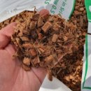 에스제이(SJ) 파트너 이미지