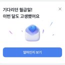 포도네일