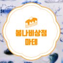 나비이불 | [봄나비상점/오더샵] 마테