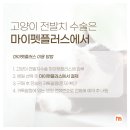 화신종합동물병원 이미지