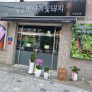 미나리꽃돼지