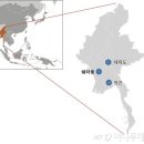 대우가스주 머니투데이