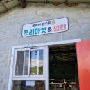 과수원길 | 원주 체리농장 봉화산 과수원길 방문후기,올해 첫수확한 무농약체리