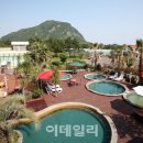 덕수1교차로(평화로 덕수입구) 2 이미지