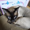 김경한의원 이미지