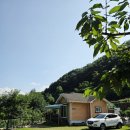 오도산펜션 이미지