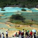 신 황룡 이미지