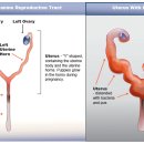 연산동물의료센터 이미지