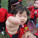 열매어린이집 이미지