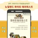 니틀 이미지