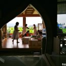 화려한외출 | 수줍은 백련의 화려한 외출, 동양최대규모 회산백련지 무안연꽃축제/여름축제 가볼만한곳