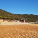 남해조경농원 이미지