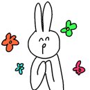 스테이 자이언 이미지