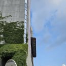 전주시청 이미지