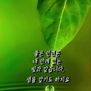 오늘선물 이미지