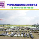 박상민농장 | 부여 여행 2019 부여세도 방울토마토 &amp; 유채꽃 축제 후기~