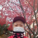 각골공원 이미지