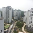 세곡-111 이미지