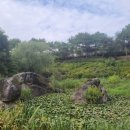 왕바위공원 이미지