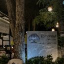 [후아힌]후아힌 야시장/Tamarind Market/CICADA Market