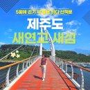 서홍동 1194-11 | 제주도 새섬 새연교 산책, 서귀포 가볼만한곳 5월에 걷기 딱 좋은 바다 산책로