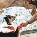 모험레포츠연수원 캠핑장 이미지