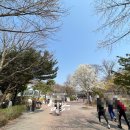 한국통닭 이미지