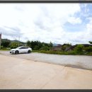 컴투펫 위탁보호센터 이미지