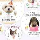 디자인위키 이미지