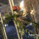 오블리비아떼 이미지