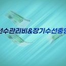 자이수선 이미지