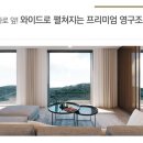 금성카인테리어 이미지