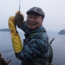 거북이수산
