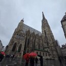 넓은들작은도서관 | 2025 오독스헝 아빠편 3일차: 까페자허, 슈테판대성당, 오스트리아국립도서관, 빈미술사박물관