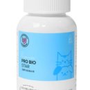 멍냥이의 하루
