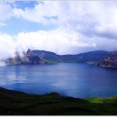 따스한봄날 이미지