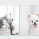 동문미용실 이미지