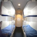 카멜리아 이미지