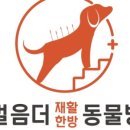 백제동물병원 이미지