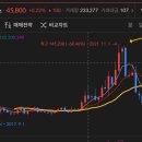 에스엠지주 티스토리